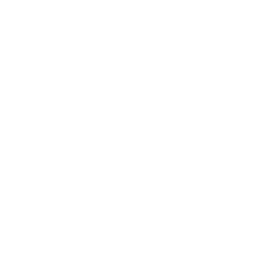 serviço de Detetive